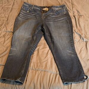 Vigoss Dark Blue Ankle Jeans